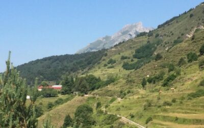 L’angolo di Andrea – Il rifugio